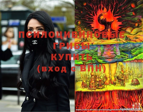 гидра Армянск