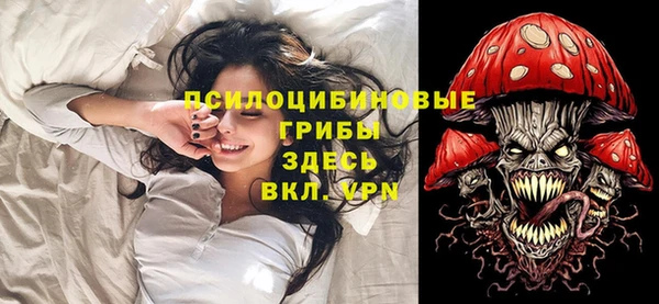 гидра Армянск