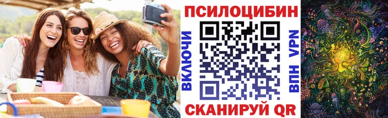 Галлюциногенные грибы Magic Shrooms OMG ссылки Курган