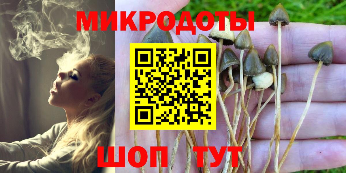 наркотики  Вход с VPN  Курган  Псилоцибиновые грибы прущие грибы  Галлюциногенные грибы Psilocybine cubensis 