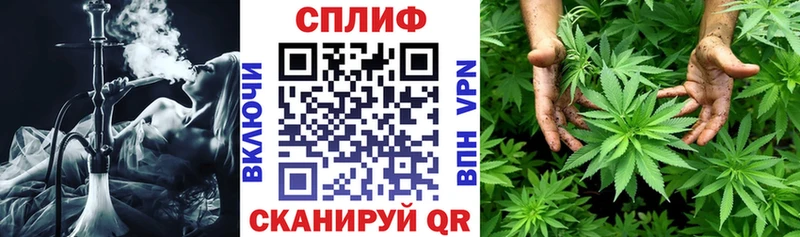Шишки марихуана гибрид  Курган 